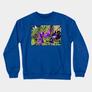 Purple Crocus Crewneck Sweatshirt